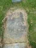 image of grave number 250485